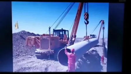 20tons 유압식 습지 파이프레이어(DGY20)
